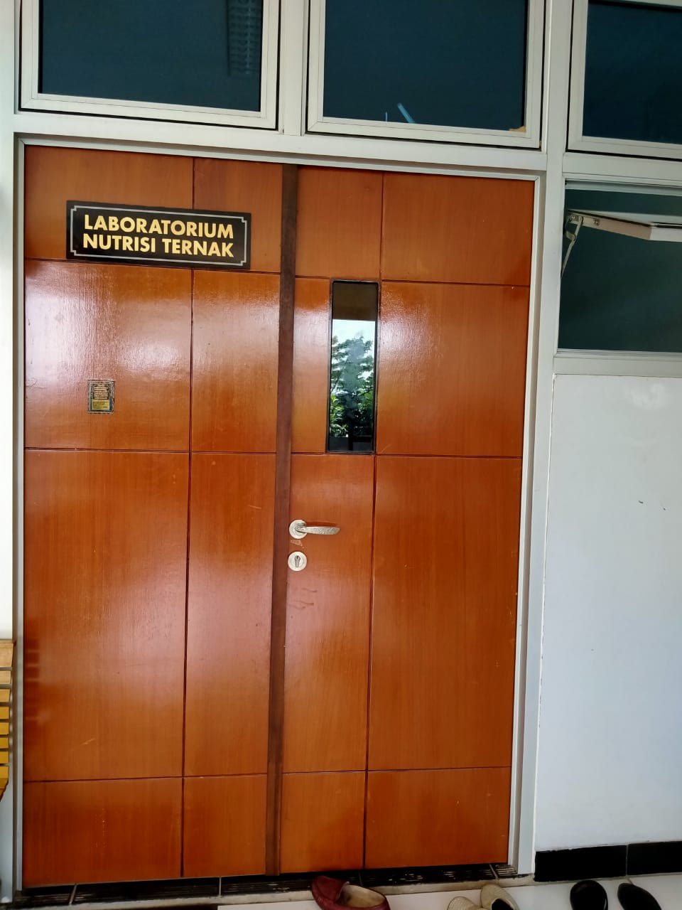 Laboratorium Nutrisi Ternak