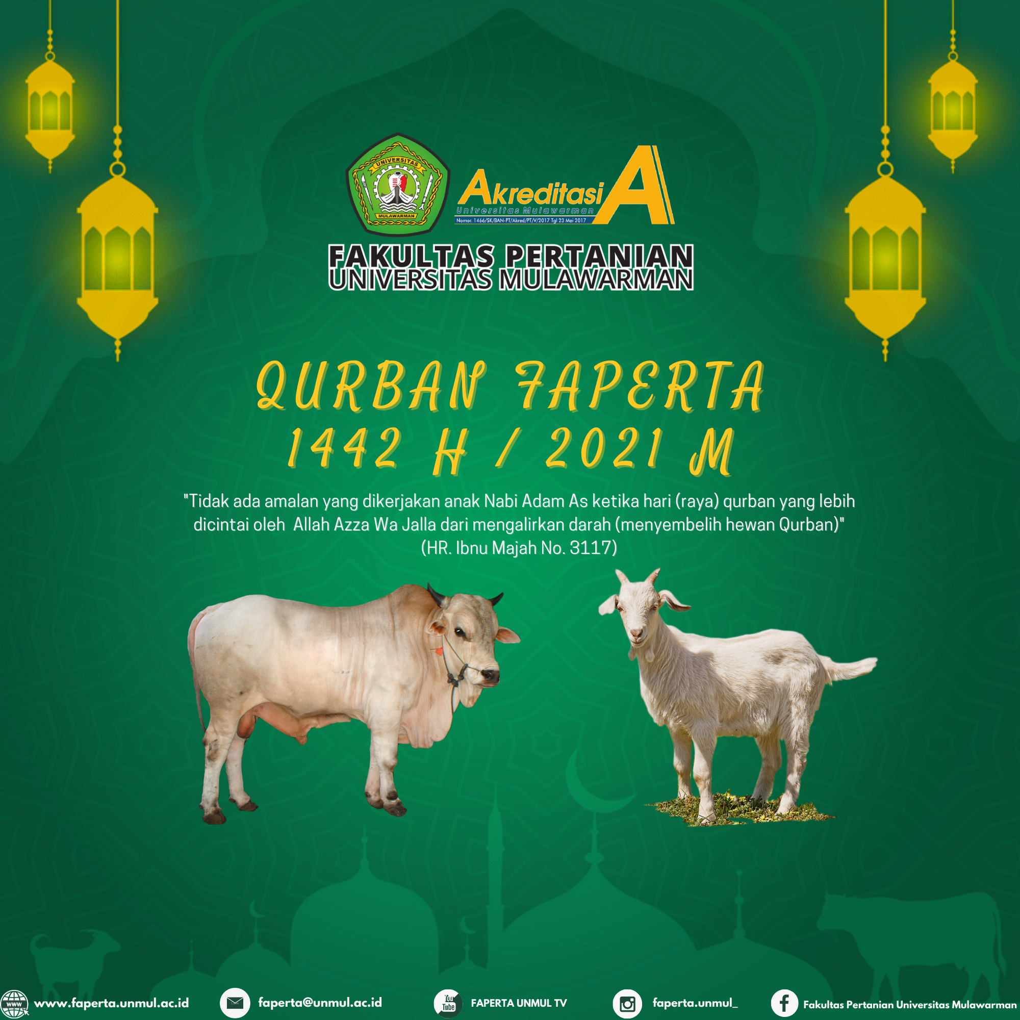 Pemotongan Hewan Qurban Fakultas Pertanian Universitas Mulawarman 1442 H / 2021 M