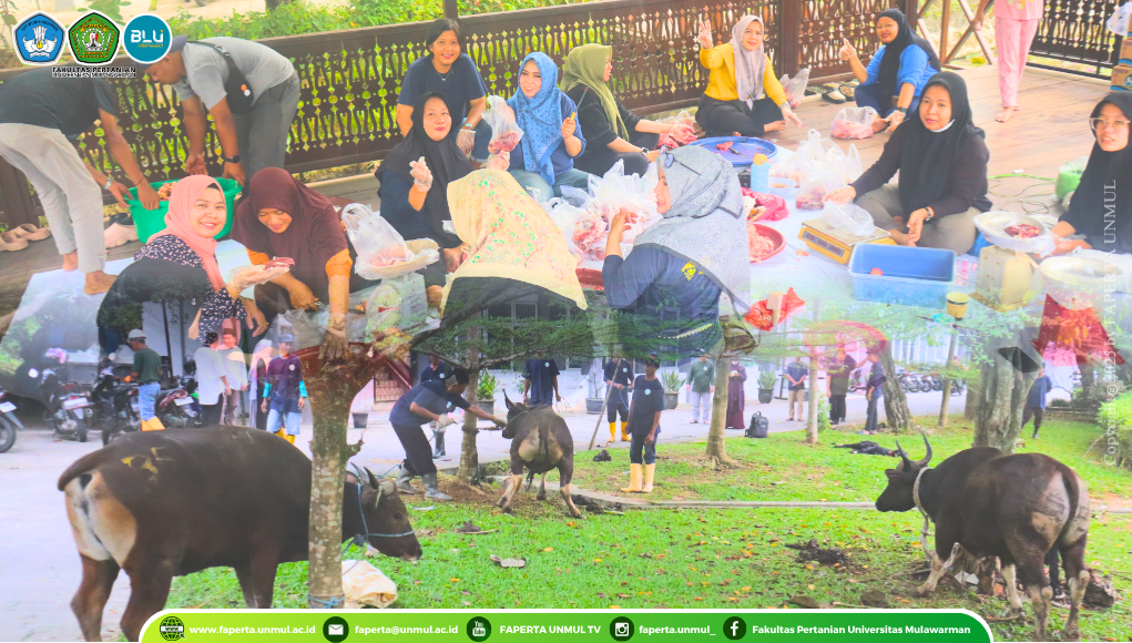 Pemotongan Hewan Qurban Fakultas Pertanian Universitas Mulawarman 1446 H / 2025 M