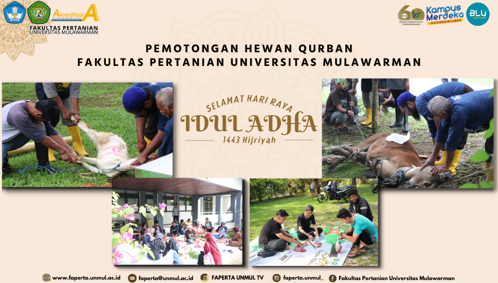 Pemotongan Hewan Qurban Fakultas Pertanian Universitas Mulawarman 1443 H / 2022 M