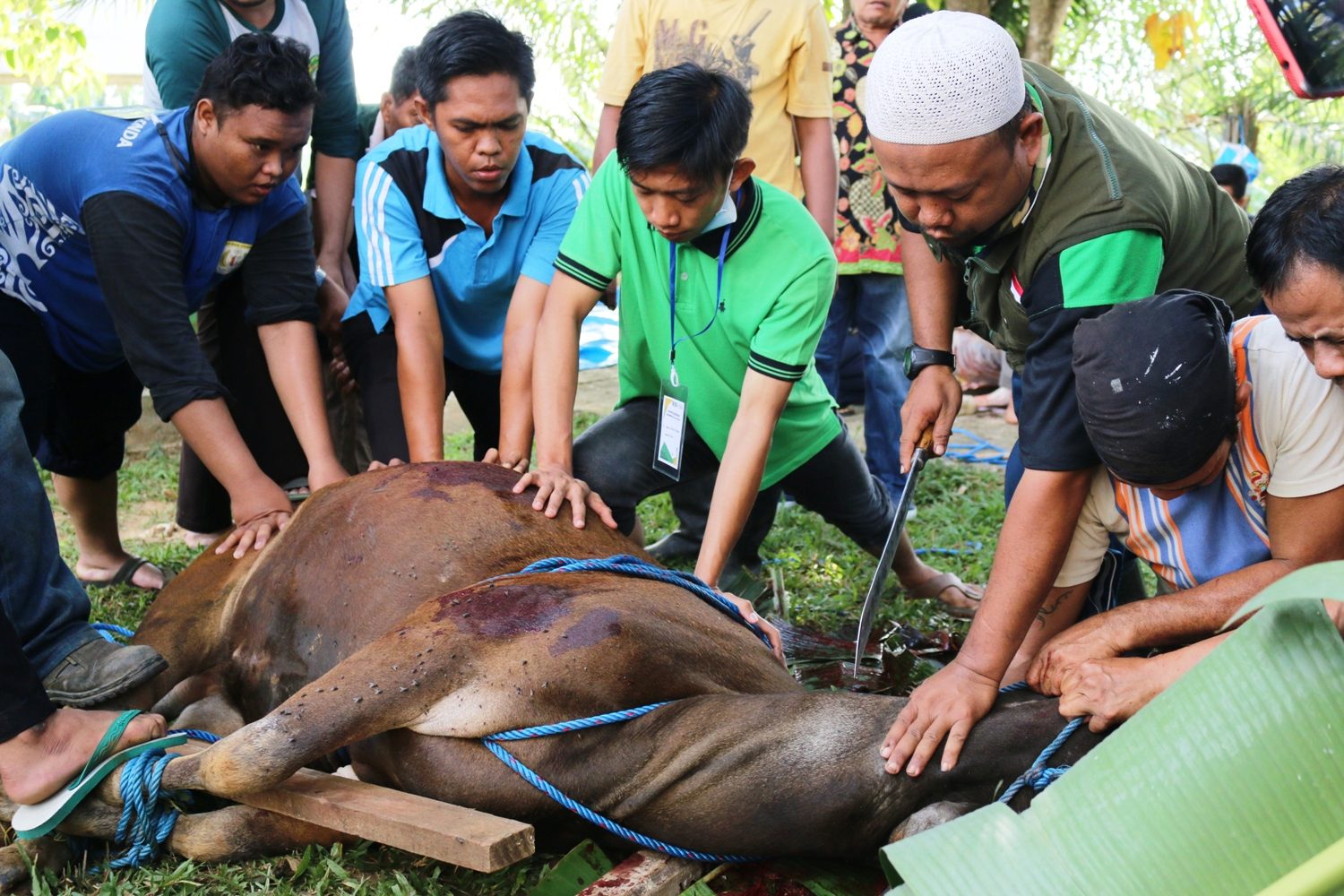 Penyembelihan Hewan Qurban Fakultas Pertanian 1439 Hijriyah