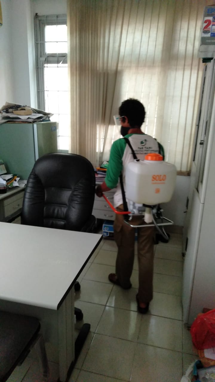 WhatsApp Image 2021-02-08 at 09.48.49