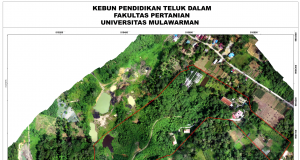 Kebun Pendidikan Teluk Dalam