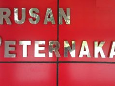 Laboratorium Reproduksi dan Pemuliaan Ternak