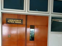 Laboratorium Nutrisi Ternak