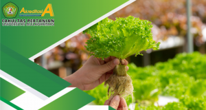 Webinar Seri 2 Laboratorium Fakultas Pertanian Universitas Mulawarman