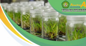 Webinar Seri 4 Laboratorium Fakultas Pertanian Universitas Mulawarman
