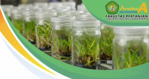 Materi Webinar Seri 4 Laboratorium Fakultas Pertanian Universitas Mulawarman