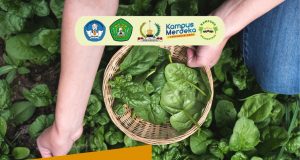 Webinar Program Holistik Pembinaan dan Pemberdayaan Desa (PHP2D) Himpunan Mahasiswa Jurusan Agribisnis Fakultas Pertanian Universitas Mulawarman