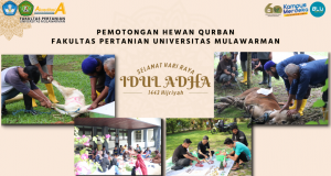 Pemotongan Hewan Qurban Fakultas Pertanian Universitas Mulawarman 1443 H / 2022 M