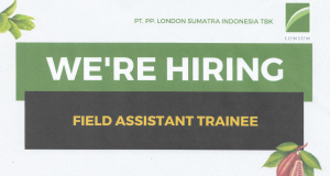 Lowongan Kerja PT. PP. London Sumatra Indonesia Tbk